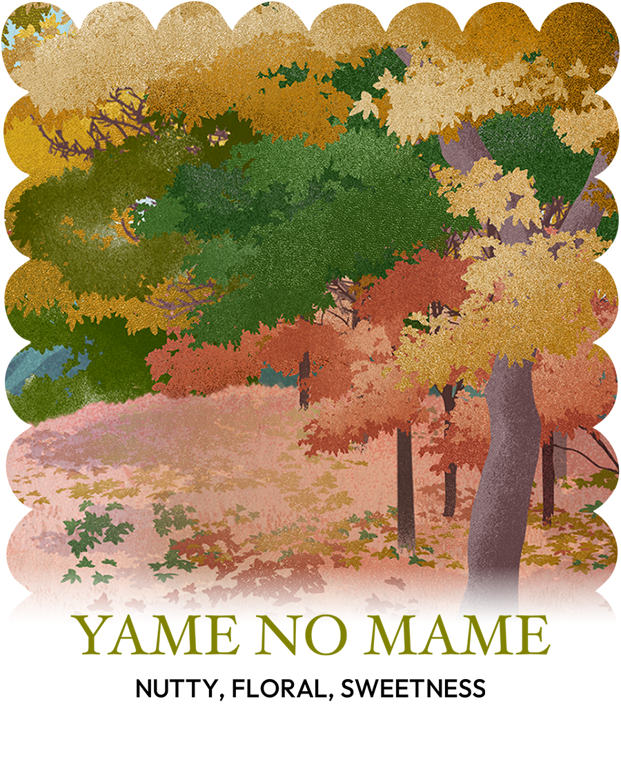 Yame No Mame